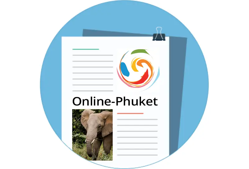 Price List: Tours, Transfers & Activities in Phuket